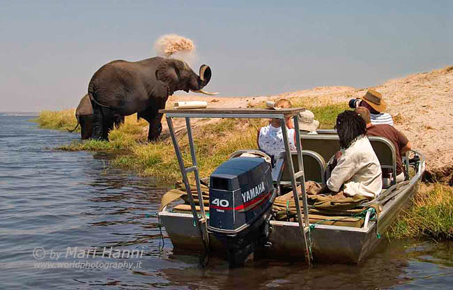 Game Watching in Chobe